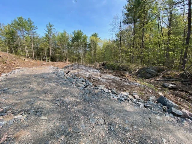 Gravenhurst, Ontario - BRAGA PIC 1.webp