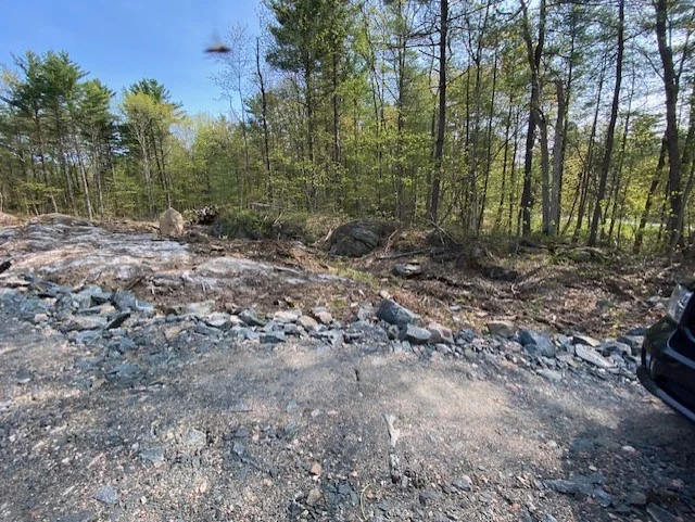 Gravenhurst, Ontario - BRAGA PIC 5.webp