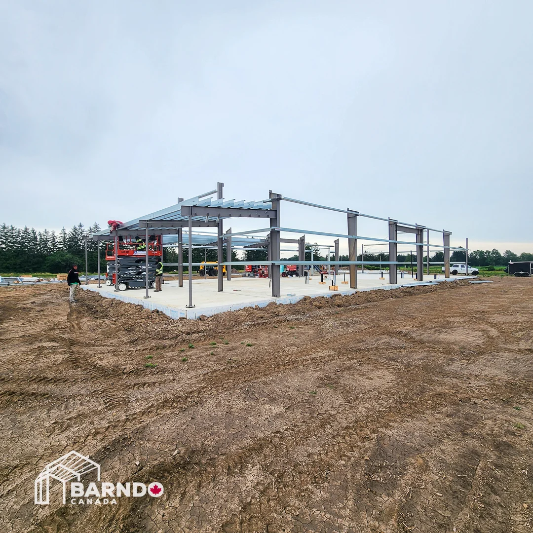 Mossley, Ontario - Barndo-Mossley-0625_121607.webp