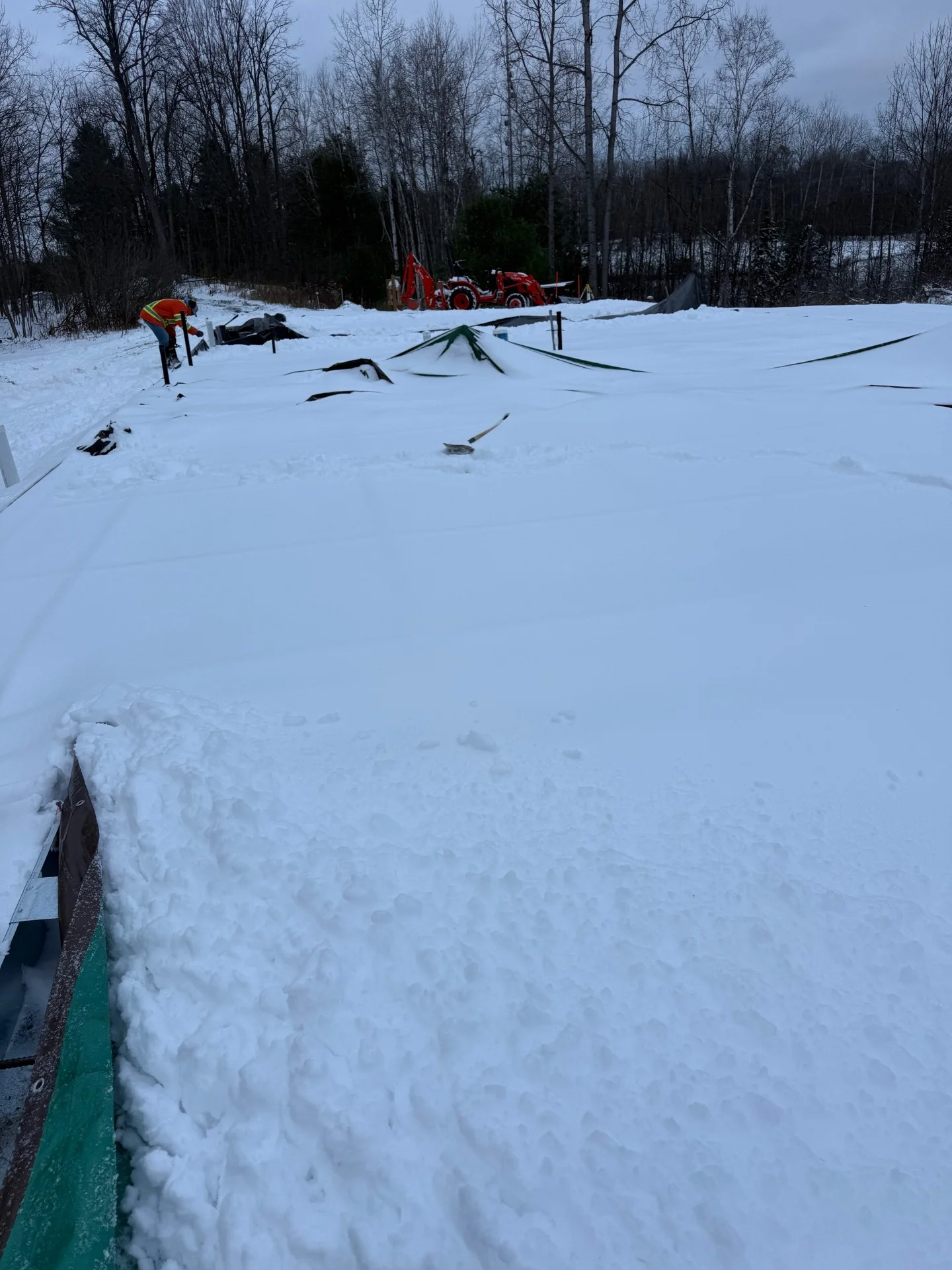 Godfrey, Ontario - thumbnail_IMG_1118.webp