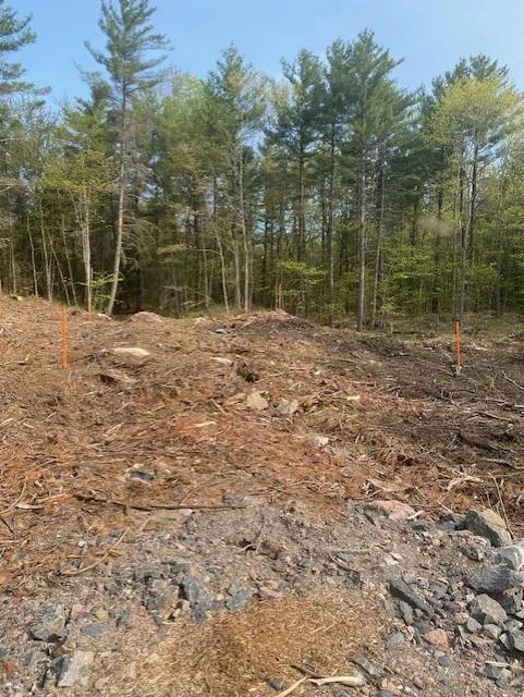 Gravenhurst, Ontario - BRAGA PIC 6.webp